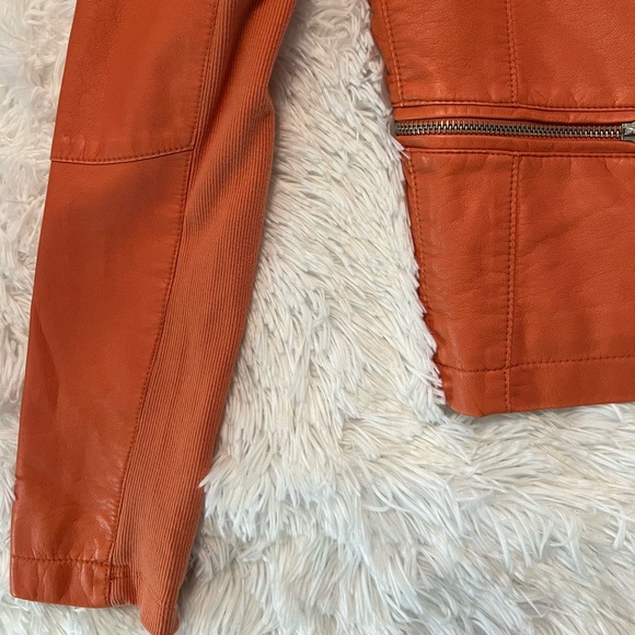 Black Rivet Faux Moto Jacket - Picture 4 of 13